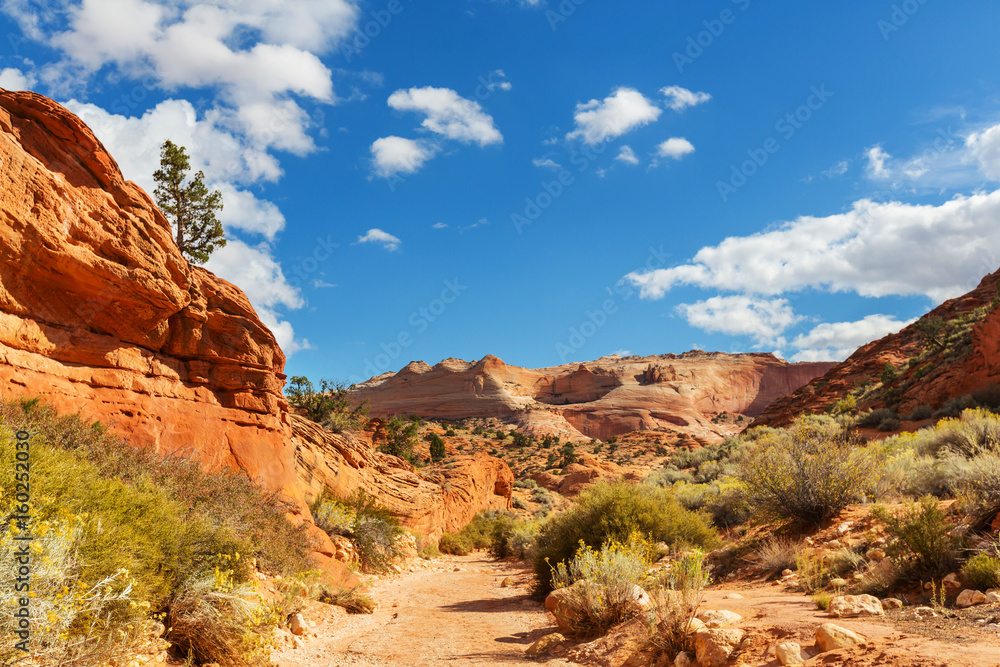Capitol Reef Capitol Reef