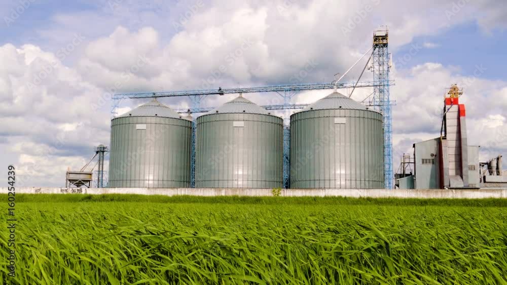 Agricultural Silo, foreground sunflower plantations - Building Exterior, Storage and drying of grains, wheat, corn, soy, sunflower against the blue sky with white clouds Agricultural Silo, foreground sunflower plantations - Building Exterior, Storage and drying of grains, wheat, corn, soy, sunflower against the blue sky with white clouds