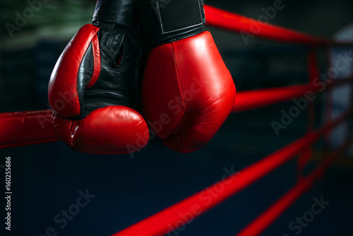 Gloves on the ring ropes, boxing concept, nobody