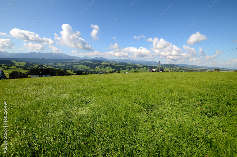 Meadow in the Tatra Mountains (Poland)