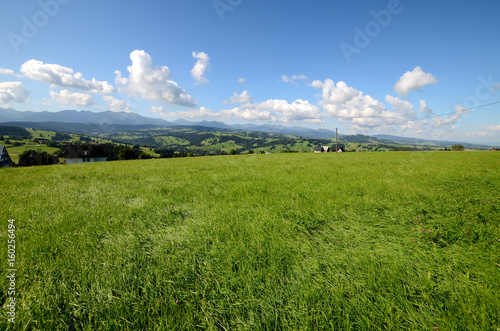 Obraz na płótnie Meadow in the Tatra Mountains (Poland) w salonie