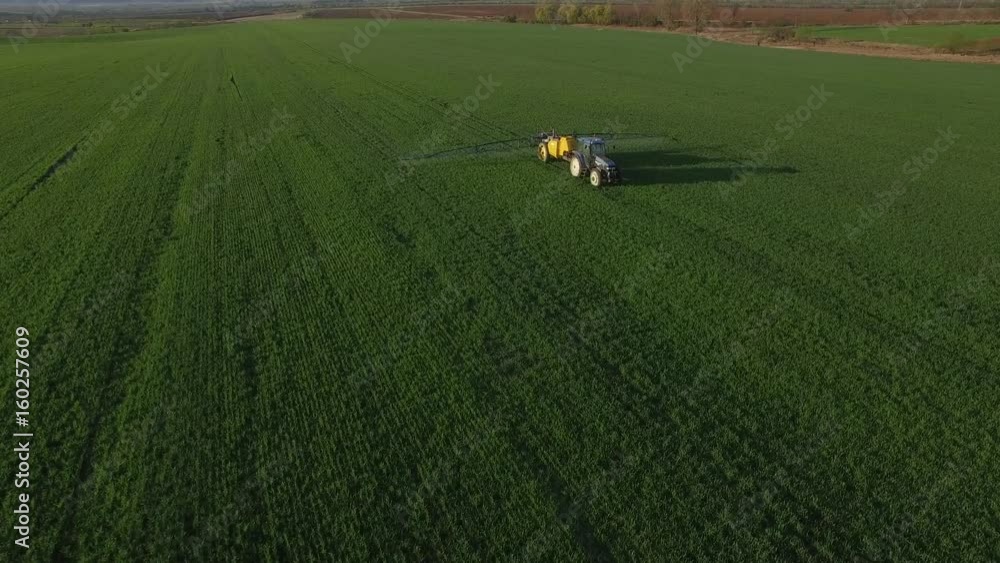 Tractor spraying wheat field Tractor spraying wheat field