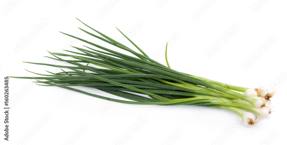 Green onion isolated on the white background Green onion isolated on the white background