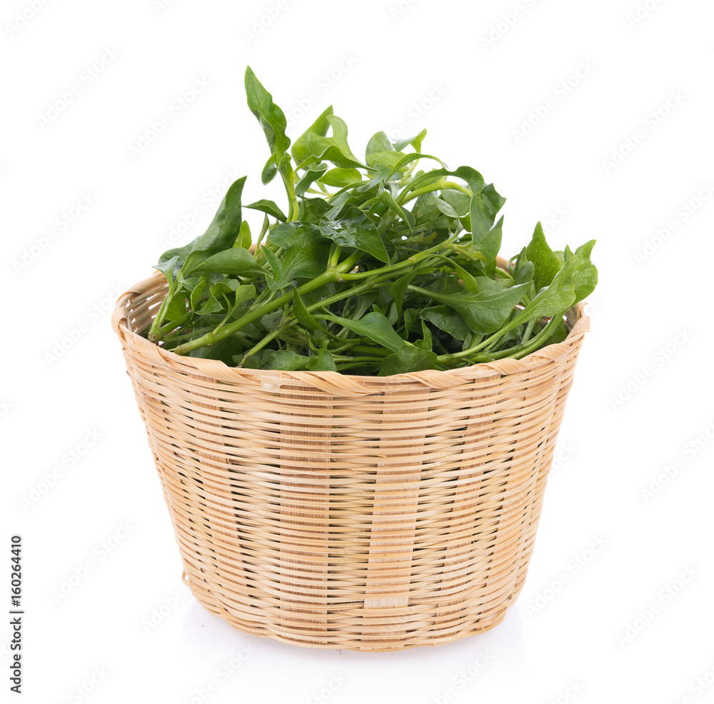 Fresh Watercress isolated on white background Fresh Watercress isolated on white background