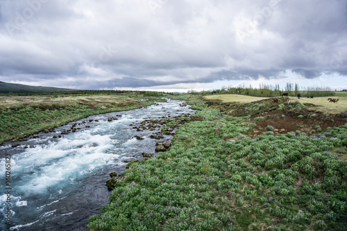 Pasture and stream