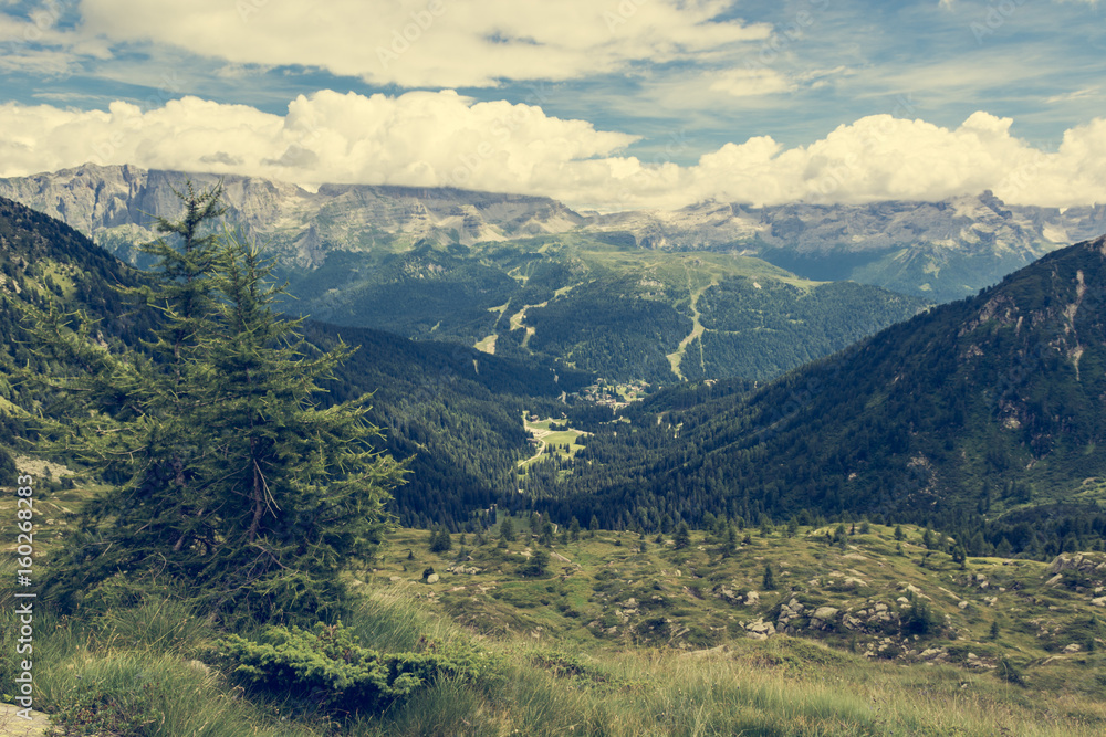 Fototapeta premium Mountain view above Madonna di Campiglio.