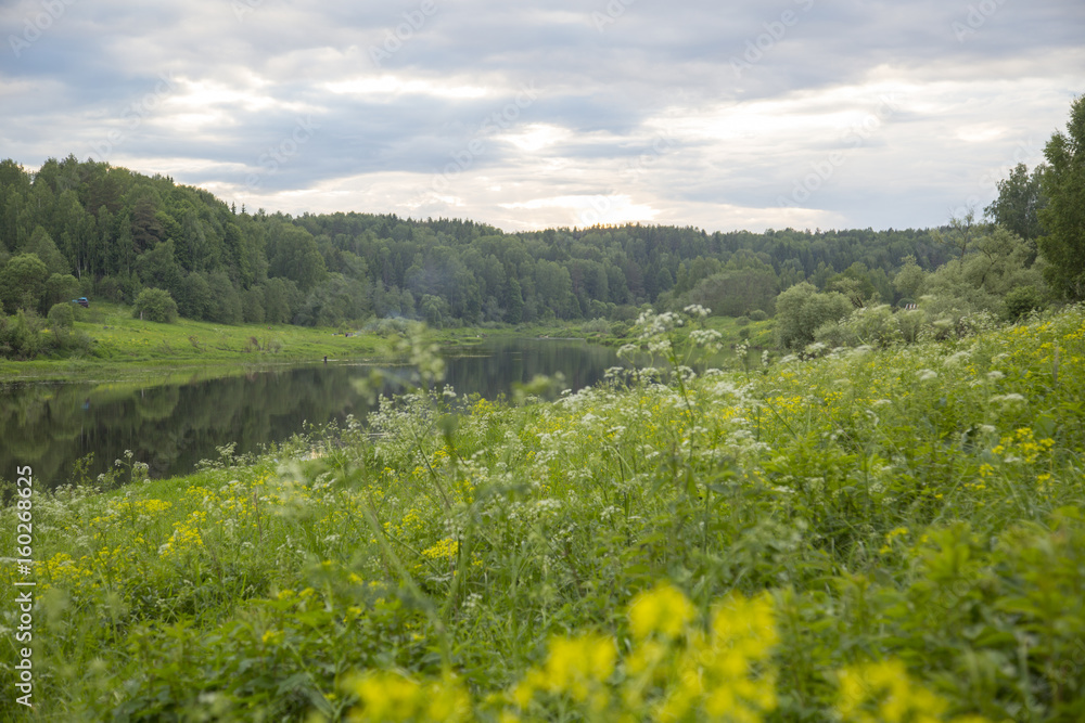 National reserve Ugra river in Kaluga region in Russia in June