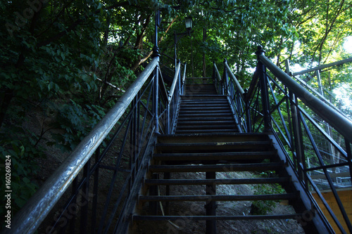 Fototapeta Naklejka Na Ścianę i Meble -  An iron staircase in the park