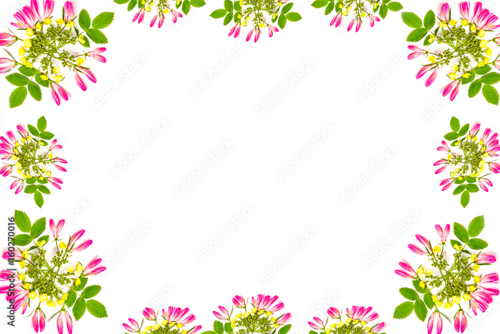 Abstract spring background. Floral pattern, template frame of small pink flower buds and yellow flowers with green leaves on a white background. The view from the top
