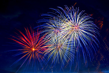Beautiful colorful fireworks on sky.