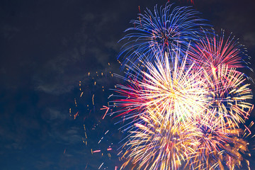 Beautiful colorful fireworks on sky.