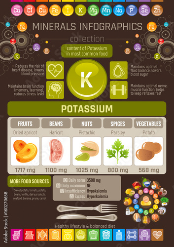 Pottasium Mineral Vitamin supplement food icons. Healthy flat icon set, text letter logo isolated background. Diet eat Infographics chart banner poster. Table vector illustration, human health benefit