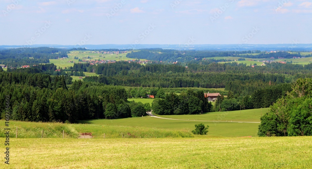 Panoramablick in die weite Hügellandschaft, Allgäu
