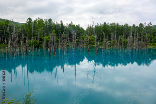 blue pond in Hokkaido , Japan