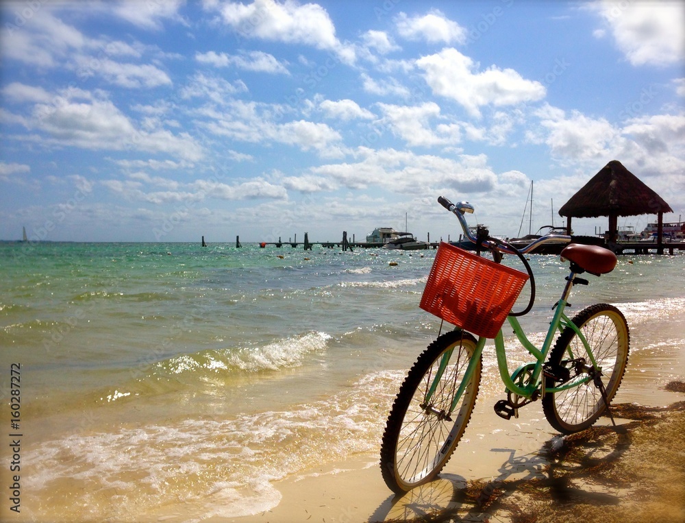 Fototapeta premium Beach Landscape