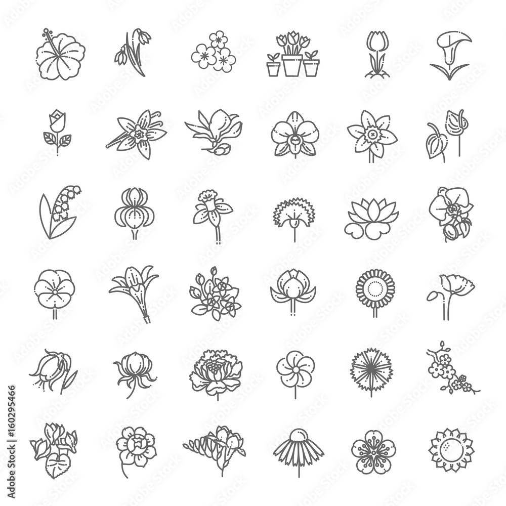 Naklejka premium Zestaw ikon kwiat - ilustracji wektorowych