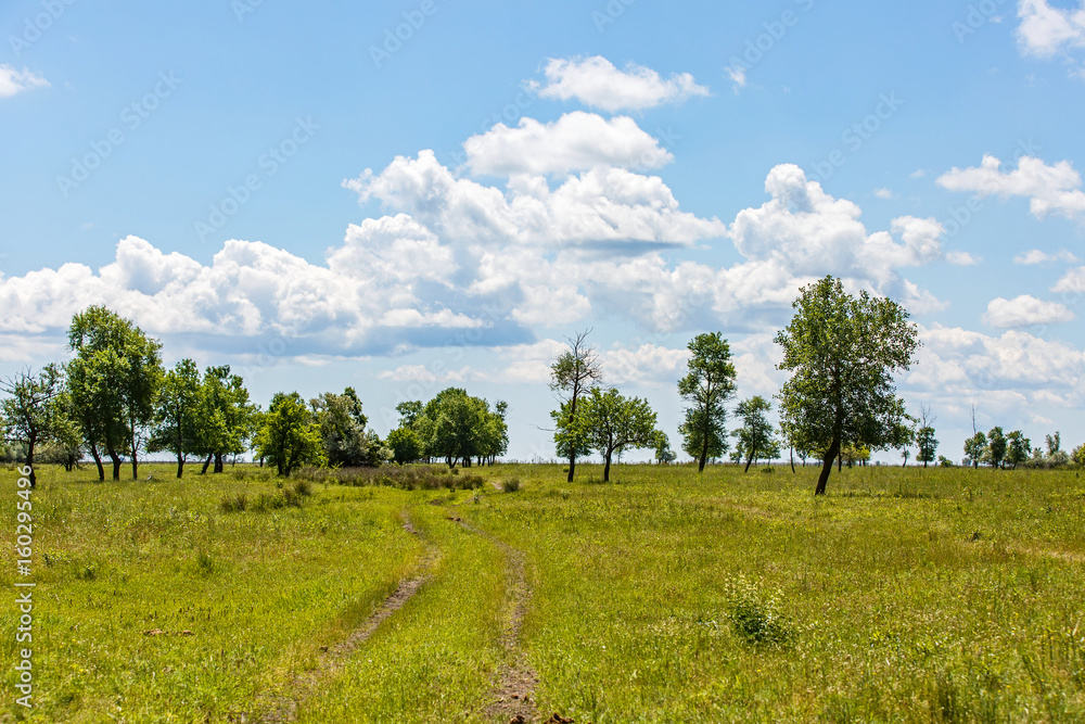 Cloudy blue sky and green meadow with trees