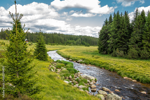 Flusslauf im Nationalpark, Waldbach