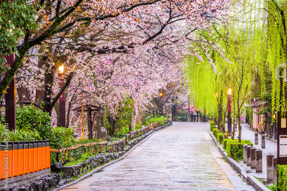Naklejka premium Gion Shirakawa, Kioto, Japonia wiosną.