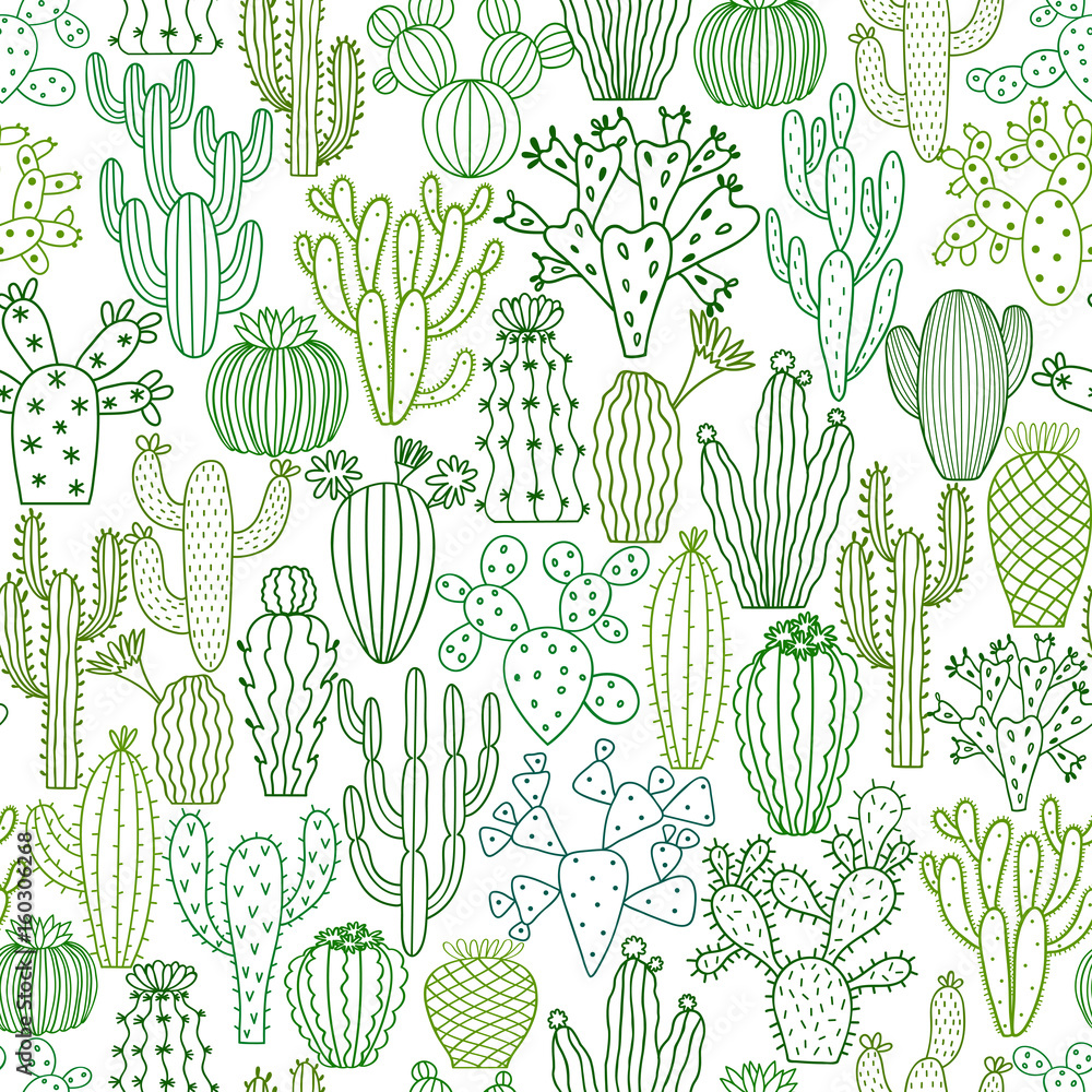Obraz Wektorowy kaktusowy bezszwowy wzór. Ręcznie rysowane doodle kaktusy tło