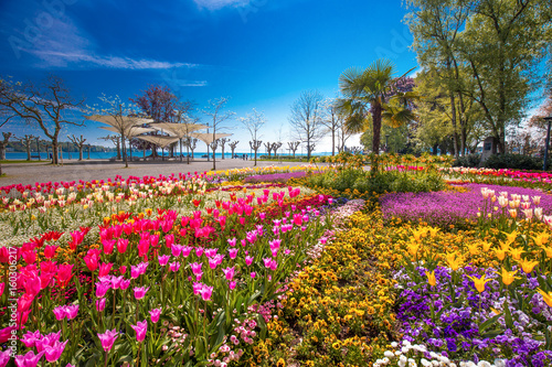 Flowers (tulips, Palms) in the centre of Konstanz city park with Constance lake (Bodensee) in the background.