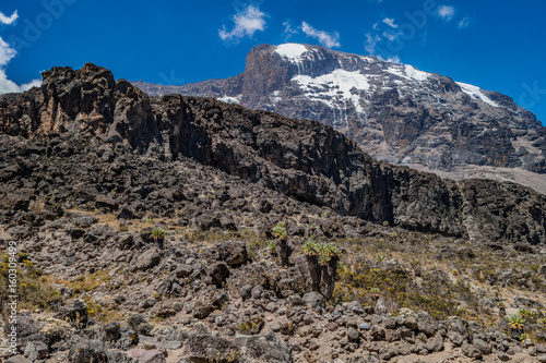 Kilimanjaro view from Machame route