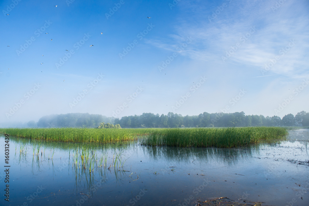 Fototapeta premium poranek nad stawem