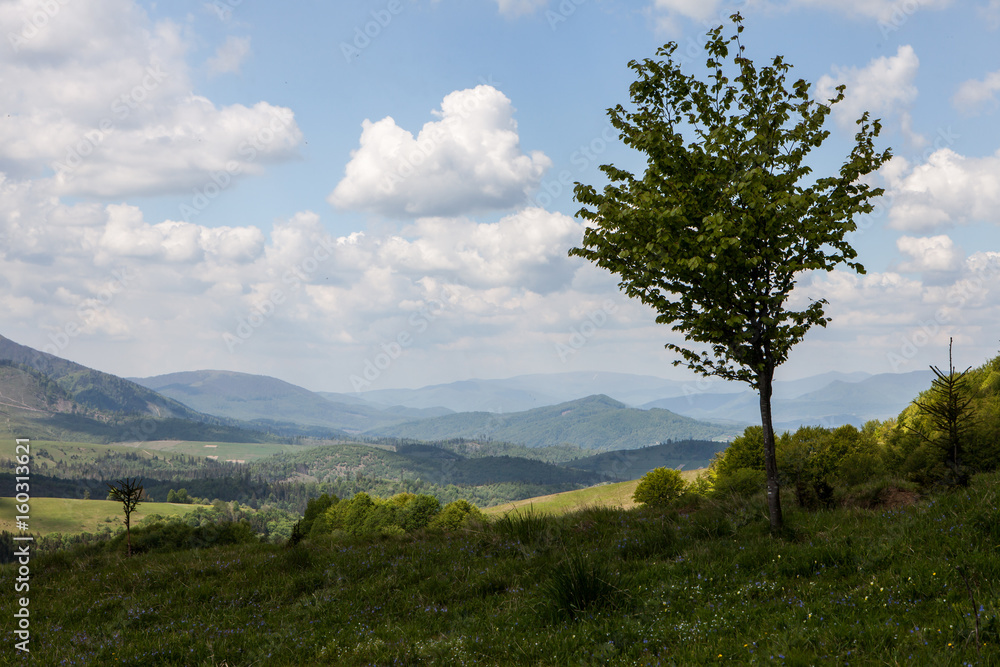 Mountain landscape, beauty of nature