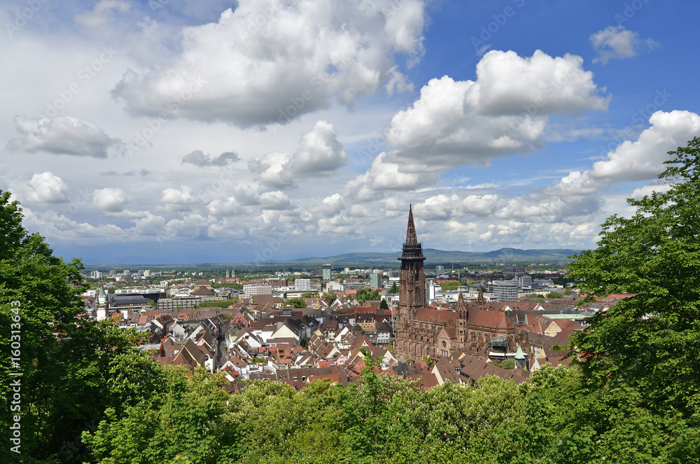 Stadtansicht mit Münster von Freiburg im Breisgau