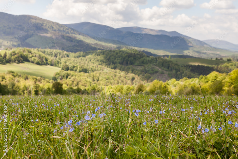 Obraz premium Mountain landscape, beauty of nature