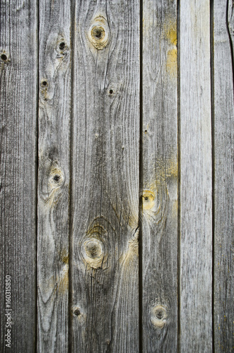 wood texture background