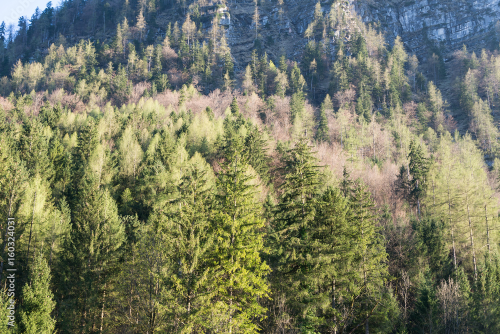 Fototapeta premium Visit to Hallstatt village