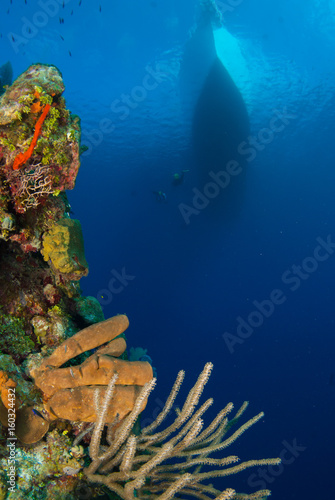 Foto A dive boat hangs above the dramatic scenery of Bloody Bay Wall on Little Cayman