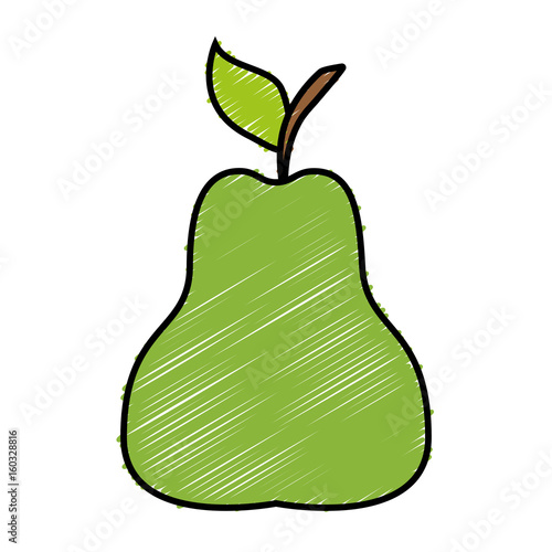 pear fruit icon over white background vector illustration