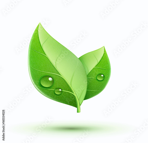 Eco concept icon