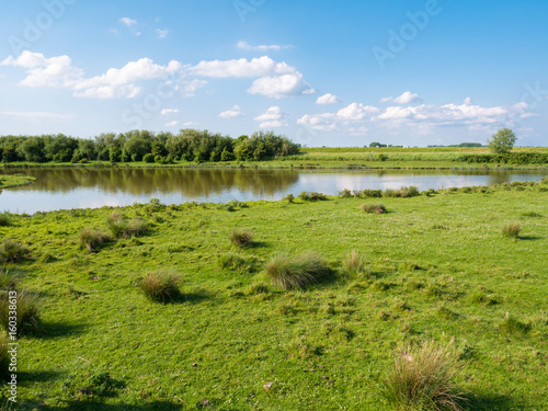 Wetland landscape of nature reserve Tiendgorzen in Haringvliet estuary, Netherlands photo