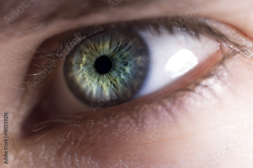 Fotografía Close up of blue/green human eye