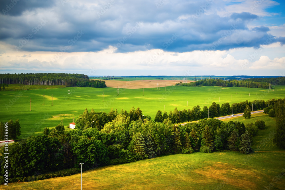Naklejka premium Summer landscape with green meadows, fields, trees and forests. Minsk region, Belarus.