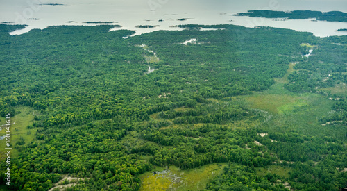 High angle view of wetlands at day, Toronto, Ontario, Canada.