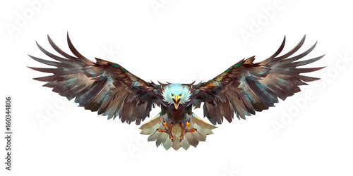 Fototapeta painted a flying eagle on a white background front