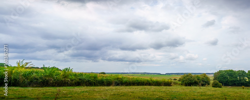 Panoramic shot of green field with bushes against cloudy sky, Belgium.