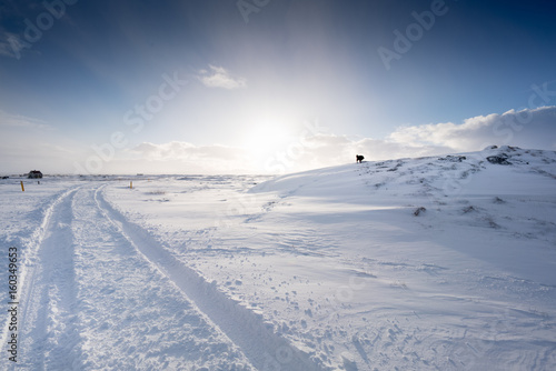 Tyre trails of a vehicle in snow covered landscape, Iceland, Europe.