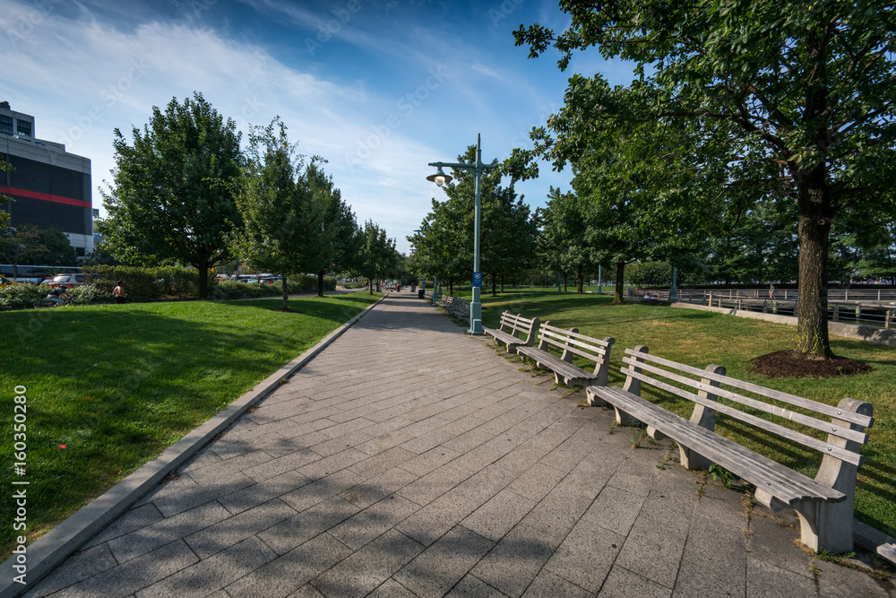 Footpath and empty benches in park with paving slabs, New York, USA.