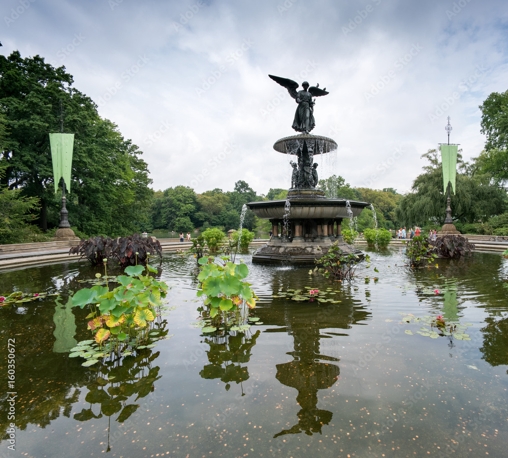 Fountain reflecting in pond with plants in park, New York, USA.