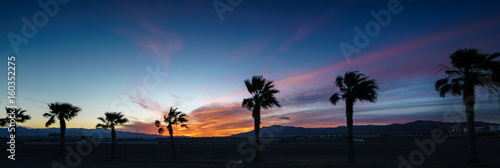 Panoramic view of palm trees in silhouette at dusk, Nevada, USA. colour picture from nevada usa 2017