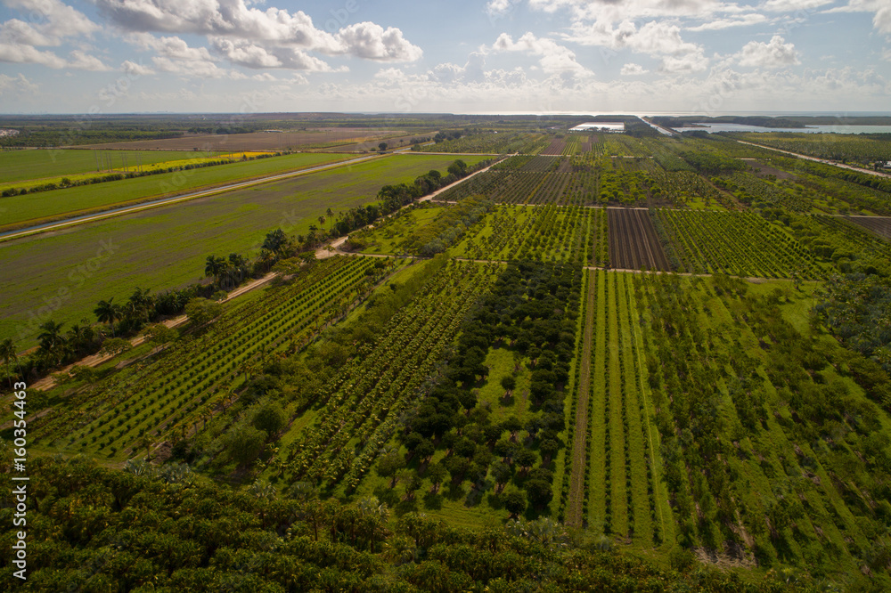 Aerial image of Homestead Florida farmland