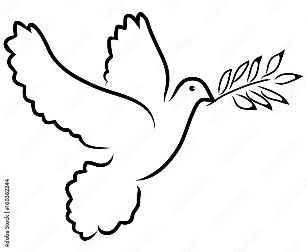 Fototapeta premium vector dove olive