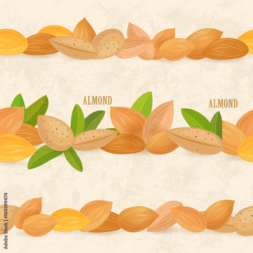 collection of seamless borders with almonds on vintage backgroun