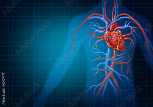 Tableau sur toile Cardiology And Cardiovascular Heart Concept