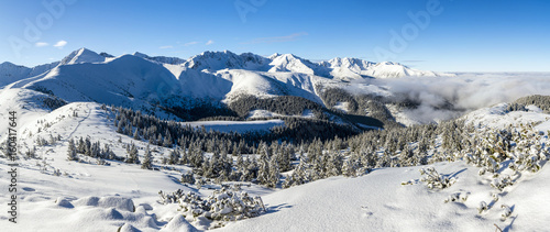 Winter in the mountains - panorama of Western Tatras.